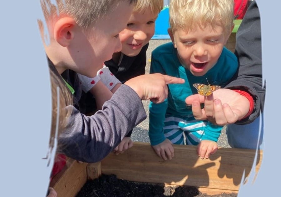 Releasing Butterflies Key Explorers