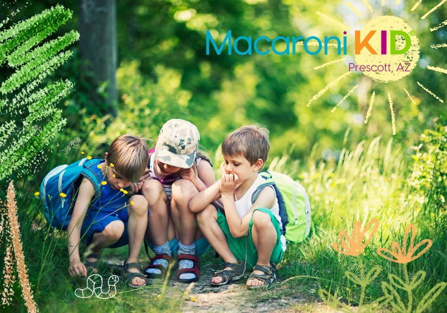 Three kids crouch down looking at something on a wooded trail.