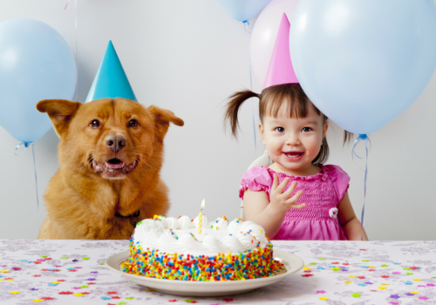 girl and dog with birthday cake
