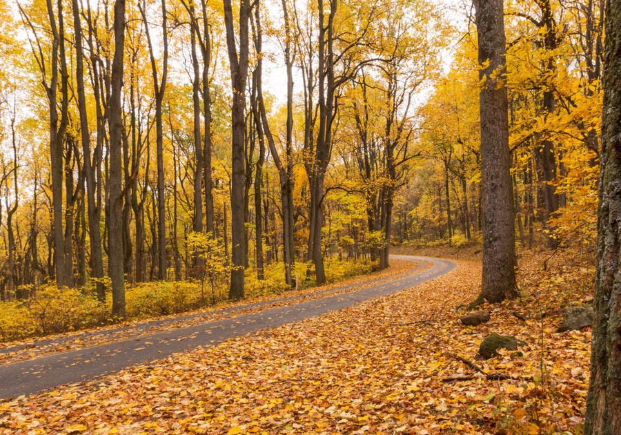 Shenandoah National Park