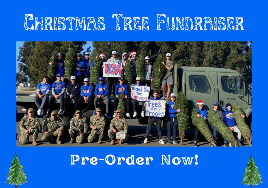 Christmas Tree Fundraise, Pre-order now. Photo of baseball team and troops