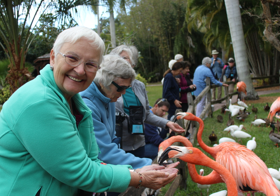 Sarasota Jungle Gardens