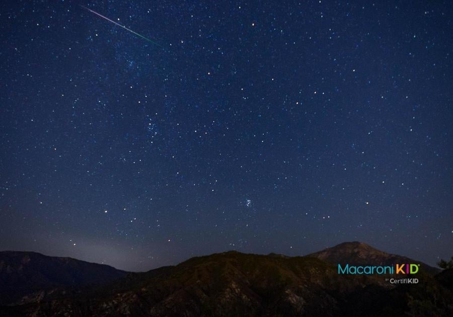 Perseid Meteor Streak in night sky
