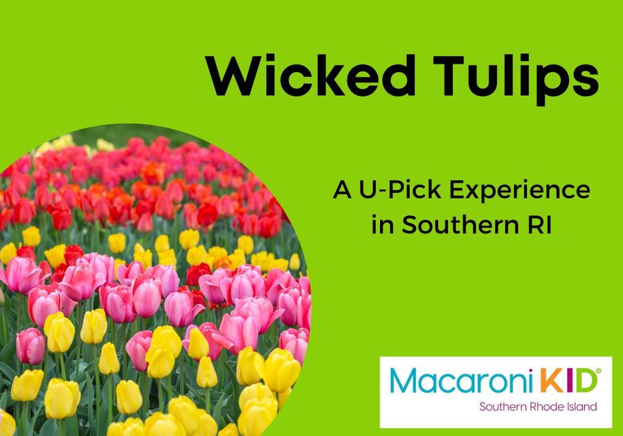 Wicked Tulips