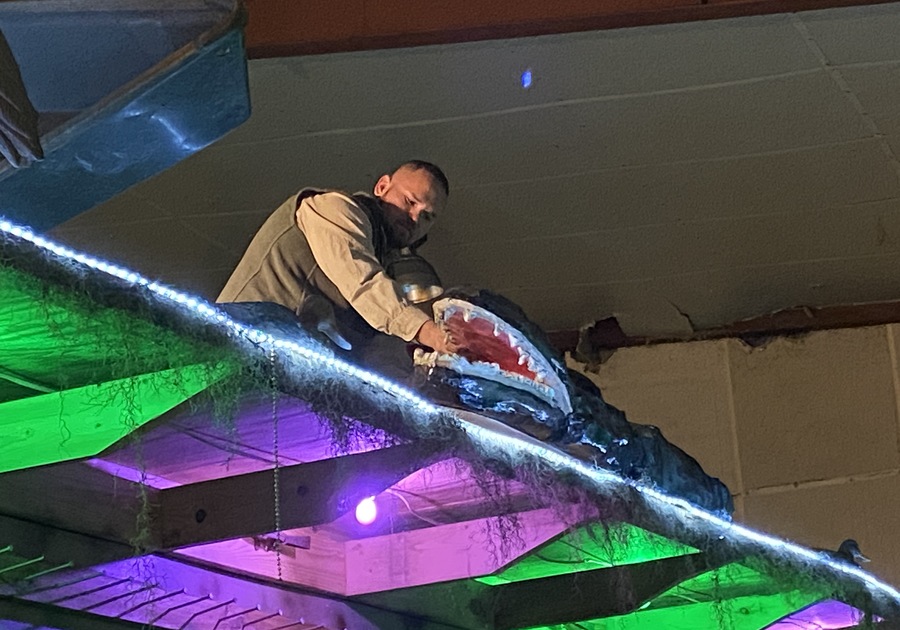 Man decorating Mardi Gras float, had hand inside the mouth of a paper meche alligator