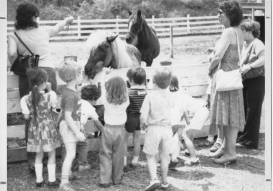 Kids at Cosley Zoo 1984