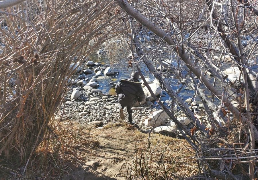 little boy running through tree branches towards river with rocks family fun things to do discounts deals activities events local support hiking outdoors reno sparks verdi nevada spanish springs