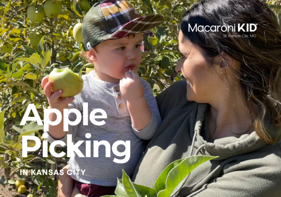 Apple Picking in SE KC MO