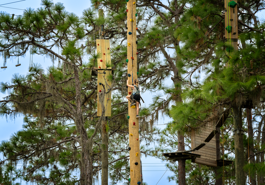 TreeUmph! Adventure Course