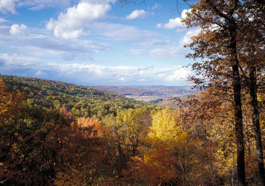 View of the beautiful Autumn colors in the Catoctin Mountains.