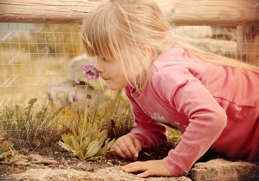 take time to smell the flowers