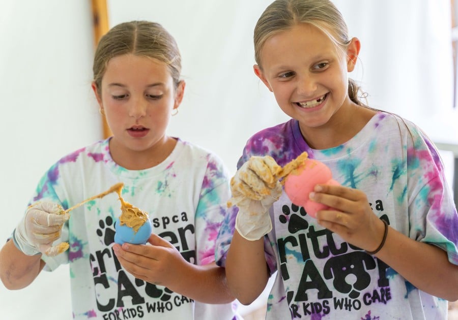 BVSPCA Critter Camp kids doing a craft or recipe