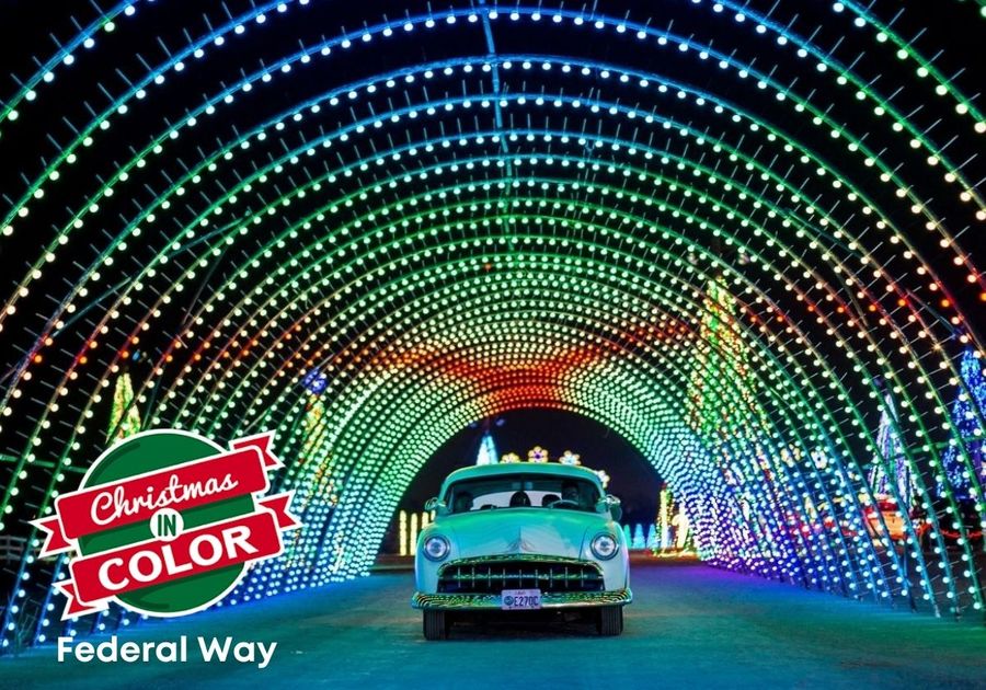 Car driving through tunnel of Christmas lights