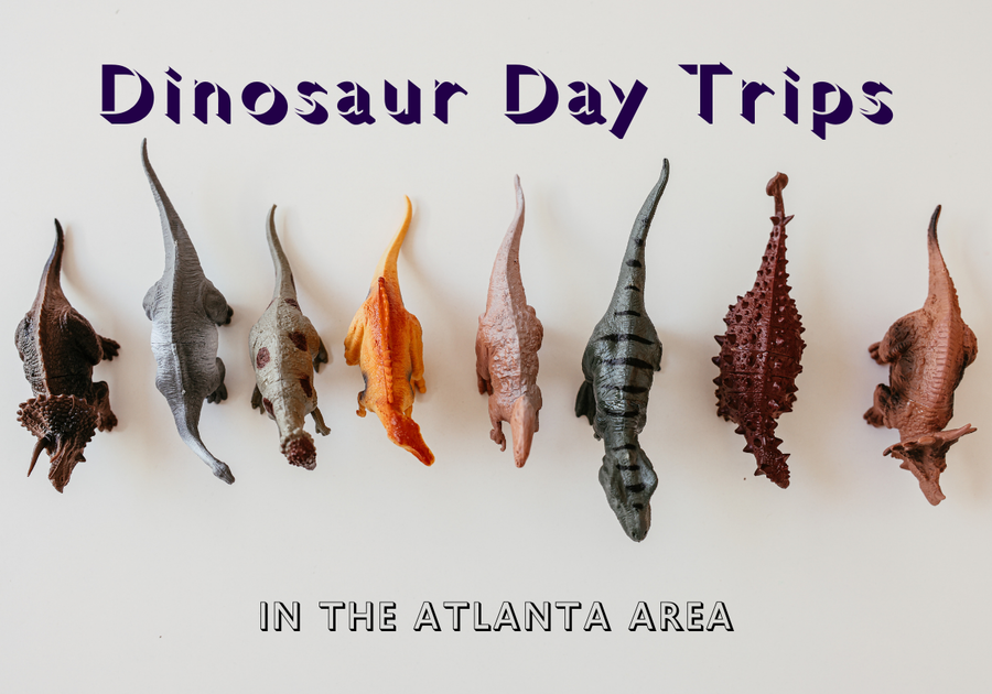 Dinosaur Day Trips