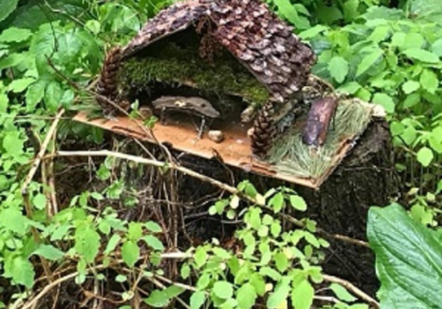 Fairy houe made from wood bark pinecones and moss, placed on a tree stump, surrounded by wild foliage
