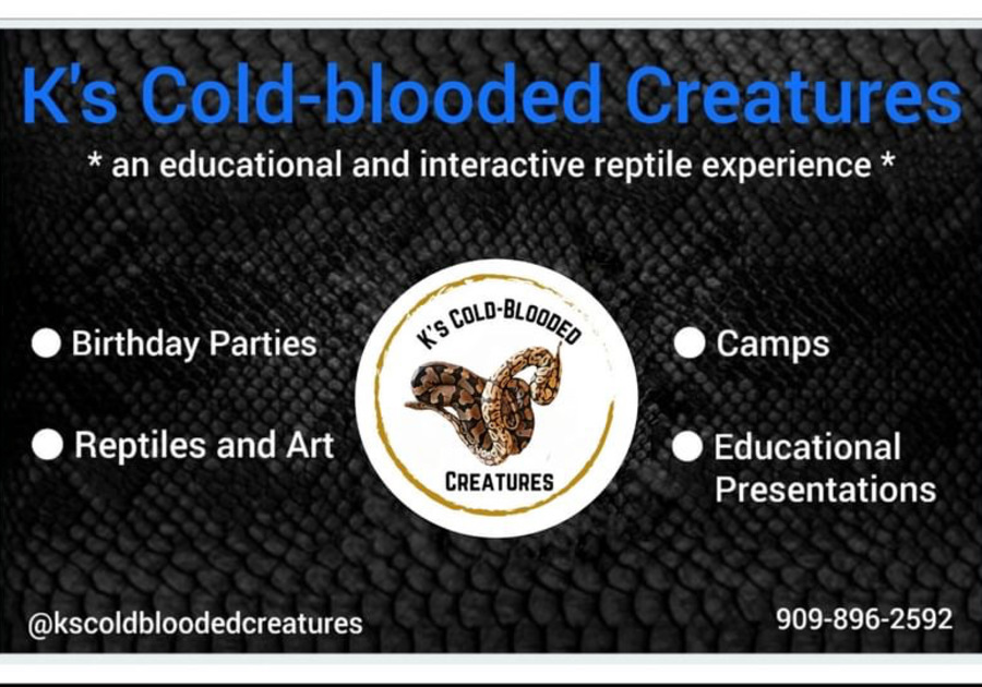 Birthday Parties Rescued Reptiles Camps Educational Temecula