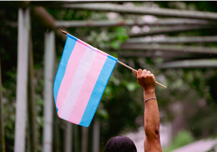Person Holding a Small Transgender Flag