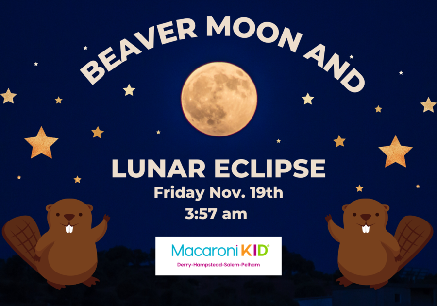 Beaver Moon and Lunar Eclipse 11/19