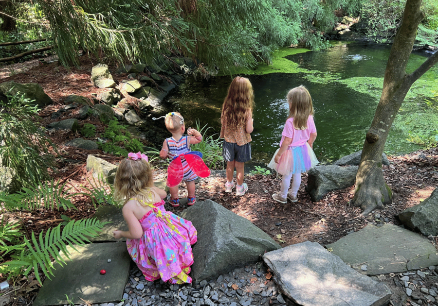 Exploring the pond at Smith Gilbert Gardens