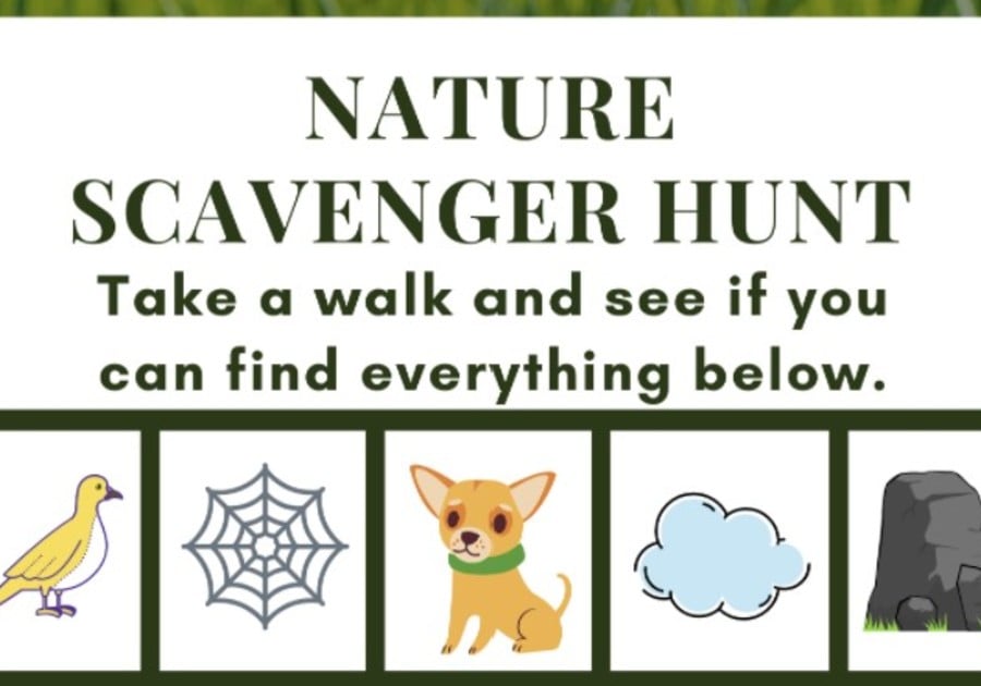 Celebrate National Park Week with our Printable Scavenger Hunt | Macaroni  KID Peachtree City-Fayetteville-Newnan