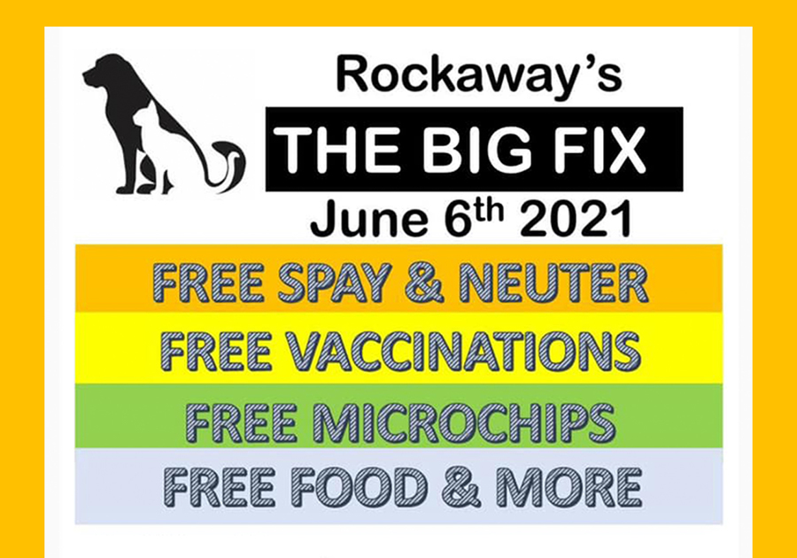 Rockaway Residents June 6 Free Pet Spay Neuter Microchip Food