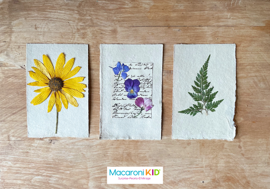 Fern and flowers (pressed) on 3 sheets of white paper on a wooden wall