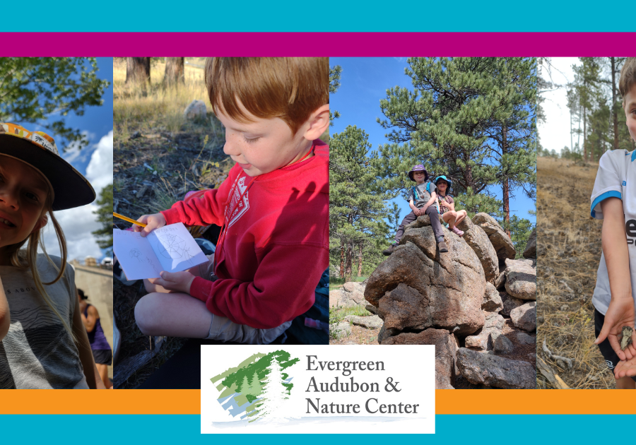 Children in nature learning