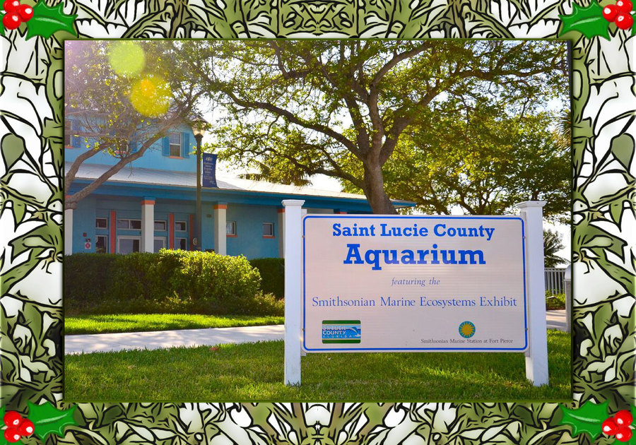 Saint Lucie County Aquarium Holidays