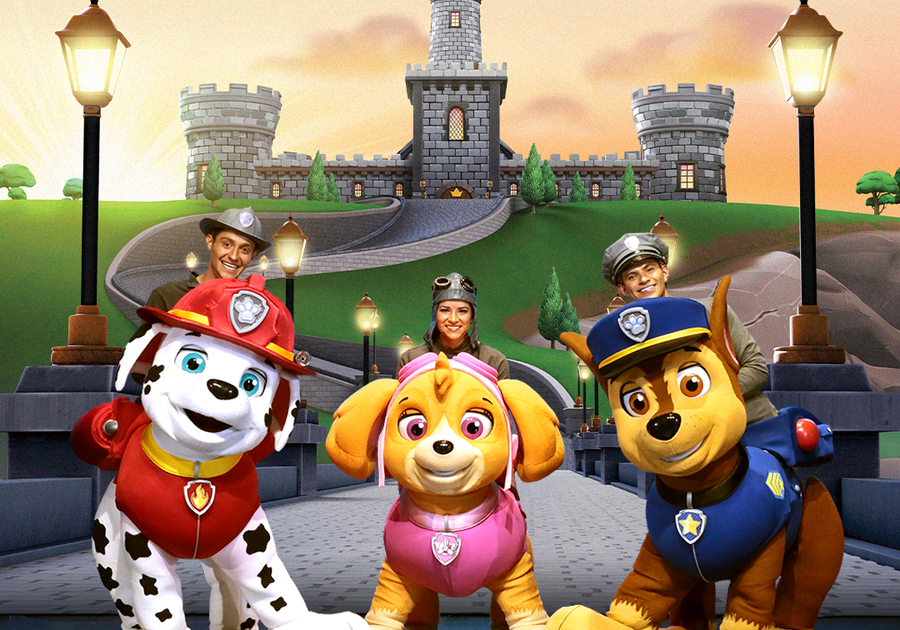 PAW Patrol Live!: Heroes Unite