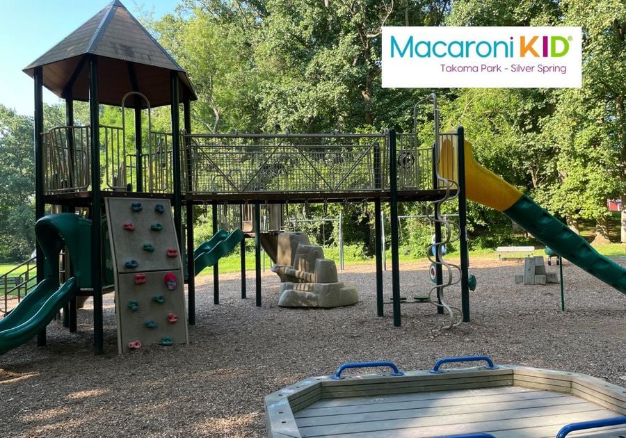 Photo of large playground structure at Forest Grove Park