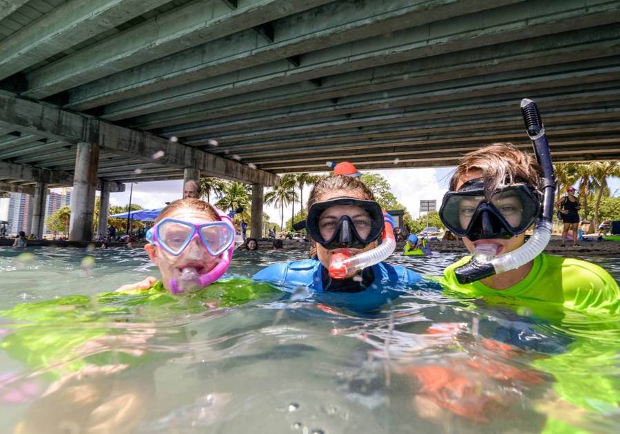 Pura Vida Divers