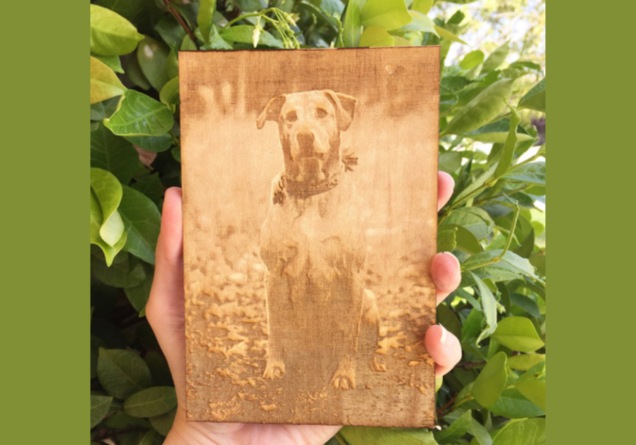 Custom handmade 4x6 dog portrait