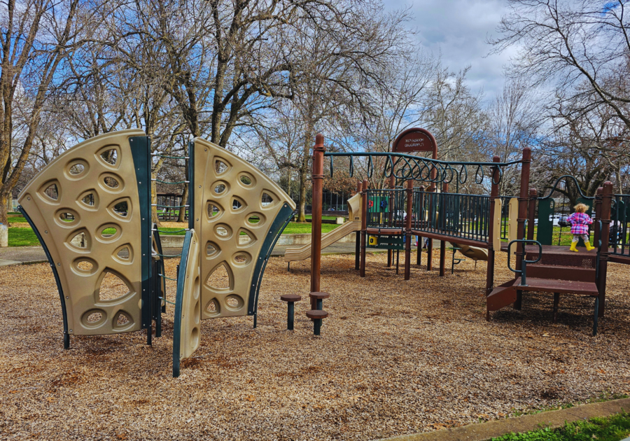 Earth-tone-colored play structure found at the front lot of Hooker Oak Park