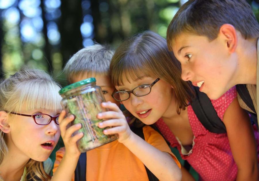 Kids looking at something in a glass jar