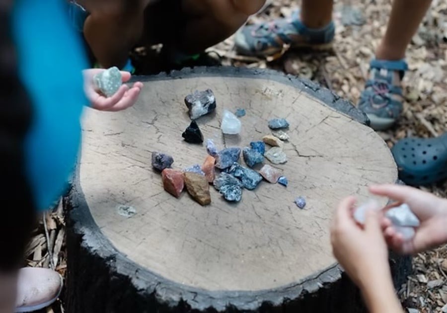 Camp Wonderkin pile of rocks on a tree stump