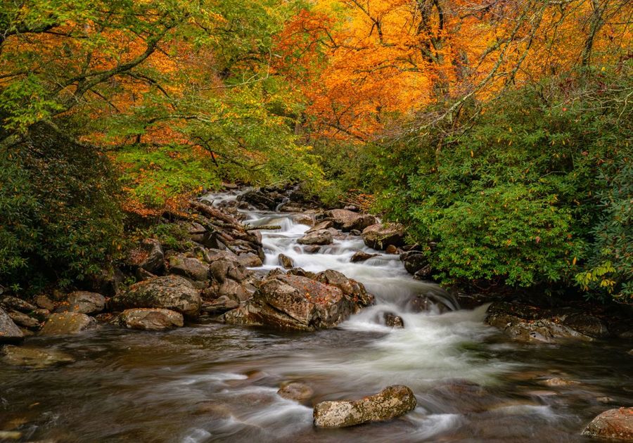 Fall colors river scene