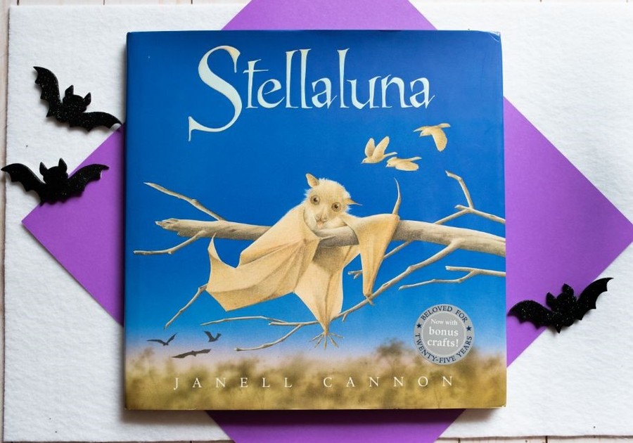 StellaLuna, Book review, Children's book review