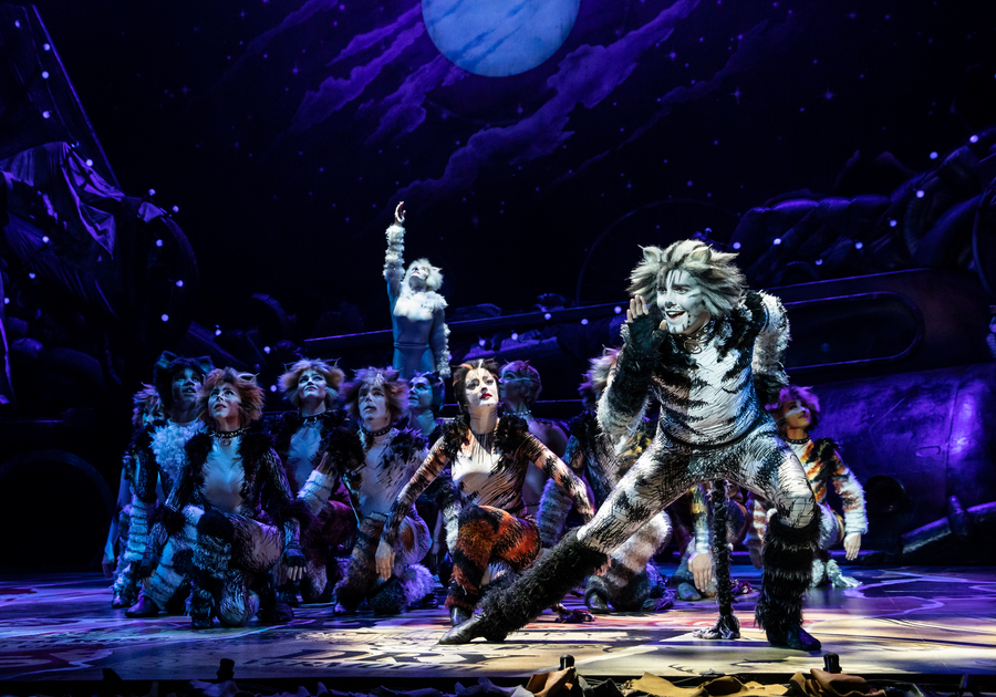 Cats' opens Friday at Susquehanna Stage; see the elaborate costumes, makeup, Entertainment