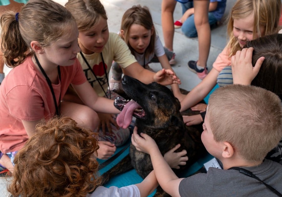 children petting dog