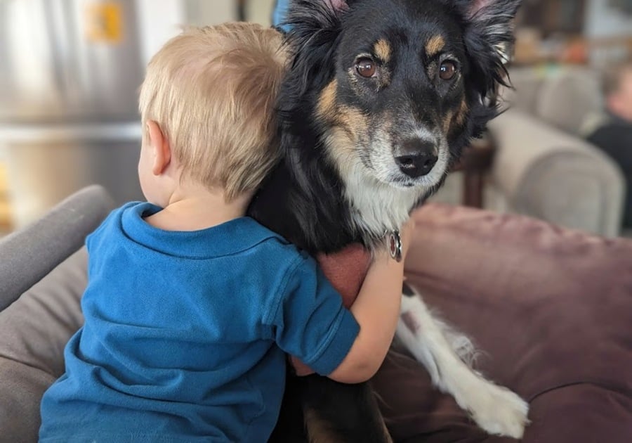 Child hugging Australian Shepard