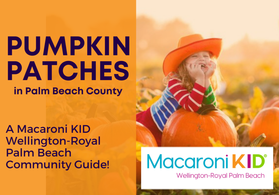 Great Local Pumpkin Patches in the Palm Beach County Area 2021