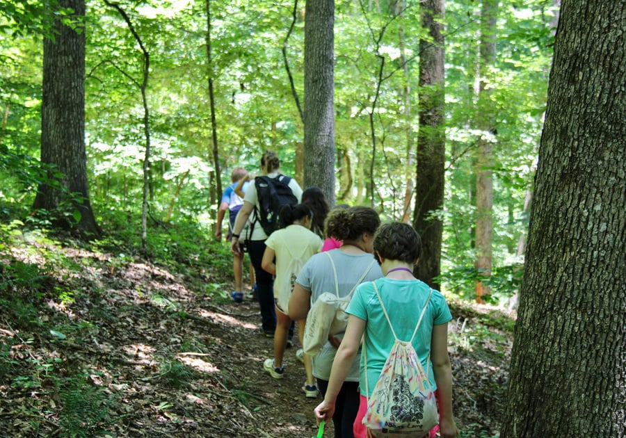 photo of camers hiking through a forest