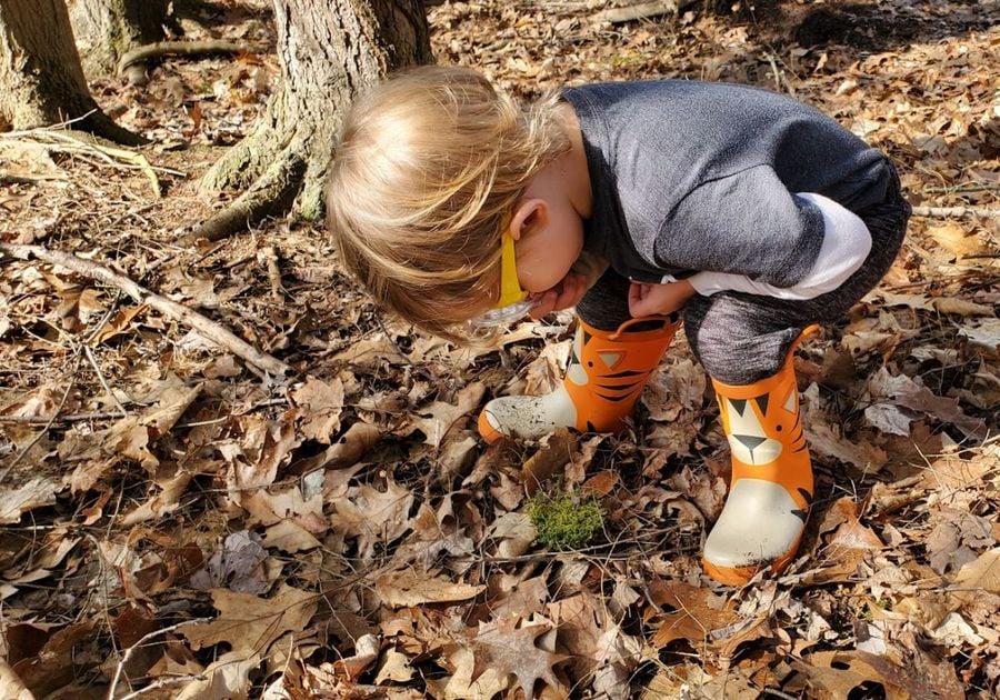 The Moss House Forest School Playfully Wild! Nature Class