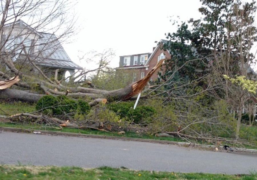 Tornado Aftermath in Lynchburg VA and Surrounding Area | Macaroni KID ...