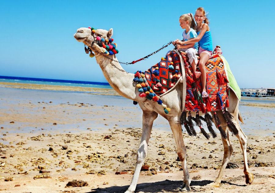 camel kids