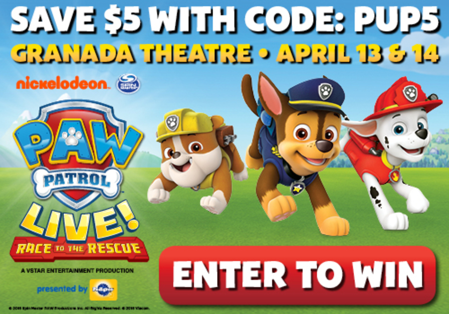 What's Paw Patrol's secret? How it captivated children and