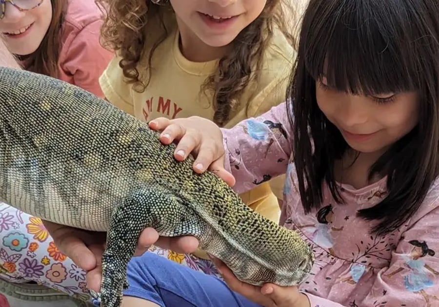 girl petting giant lizard