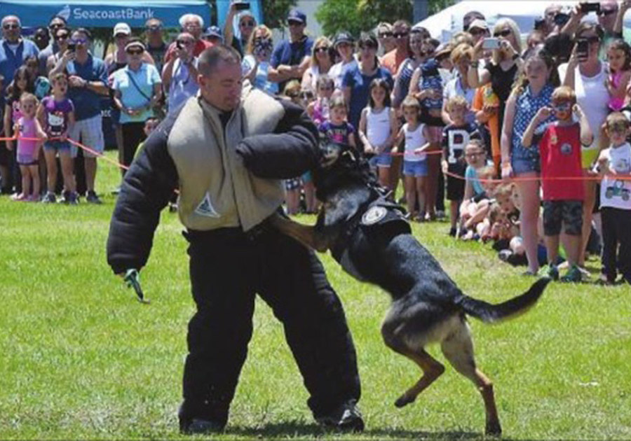 Police Canine Demonstration at Safety Festival