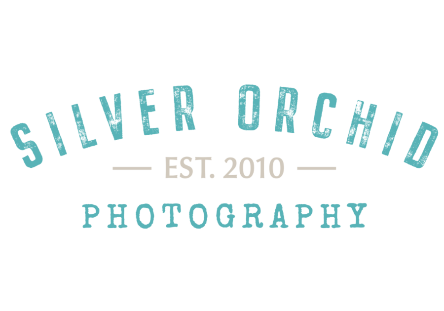 silver orchid photography