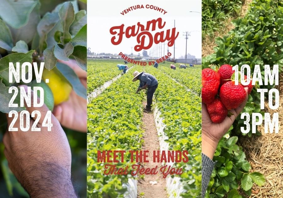 Ventura County Farm Day Nov. 2nd 2024 Meet the Hands that feed you 10am to 3 pm